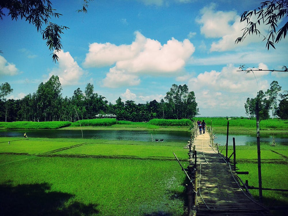 How to Sell Land for Cash in Rhode Island?